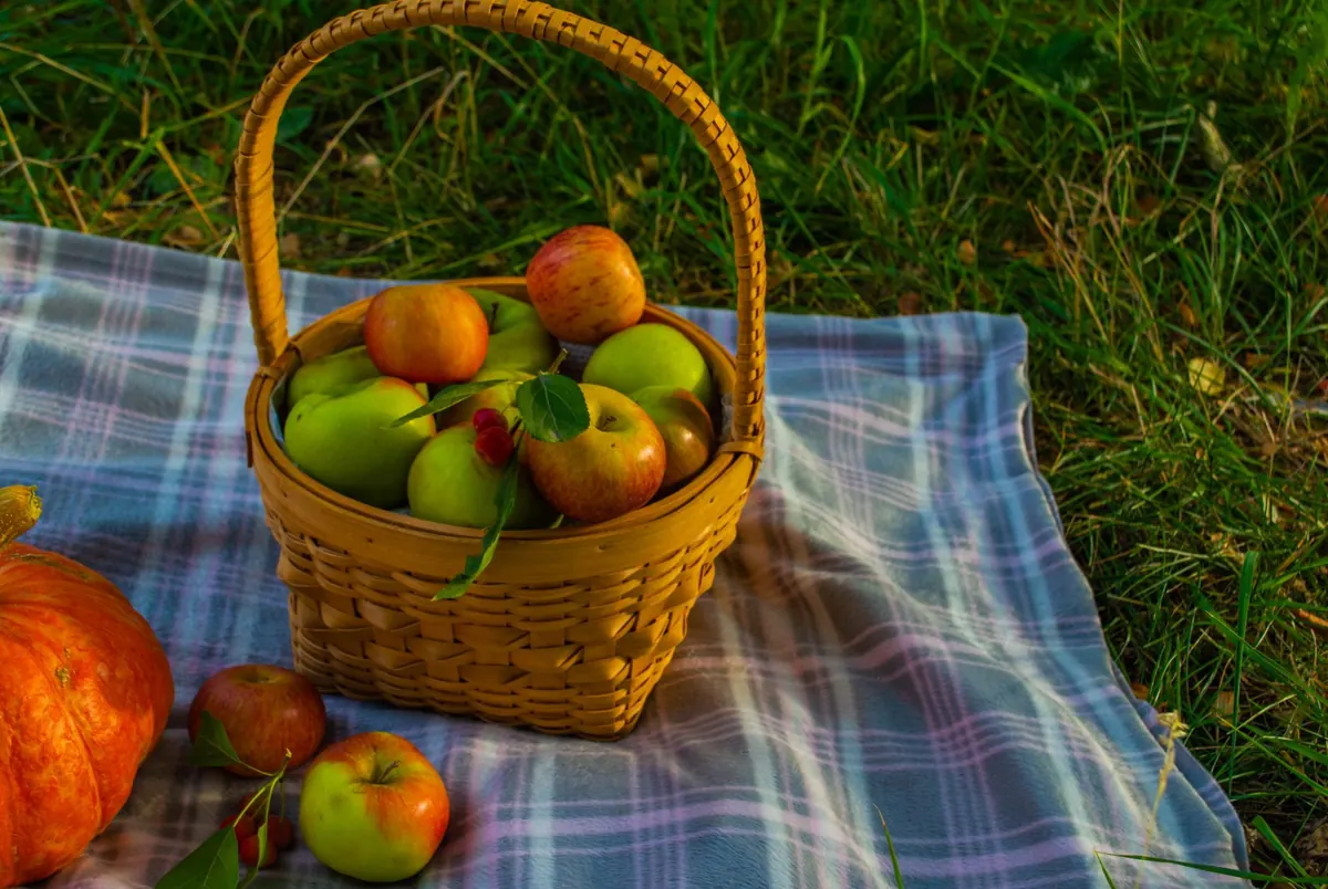 Autumn Apple Recipes: 3 Easy Ways to Use a Bag of Apples